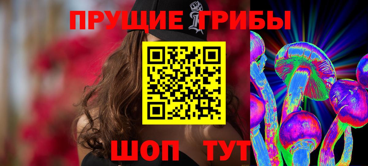 Мурманск  Псилоцибиновые грибы GOLDEN TEACHER  Вход с VPN  купить закладку  Псилоцибиновые грибы ЛСД 